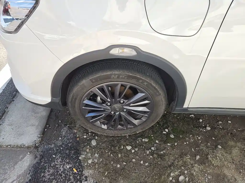 Neta Neta V — миниатюра 23