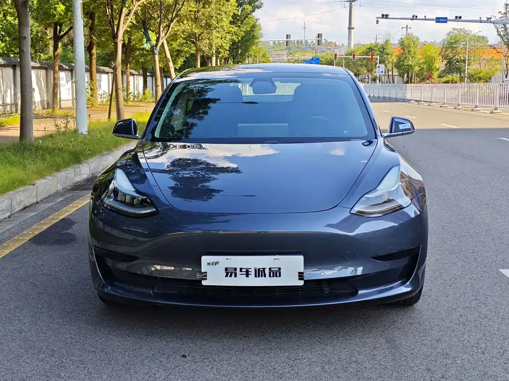 Tesla Model 3 — миниатюра 2