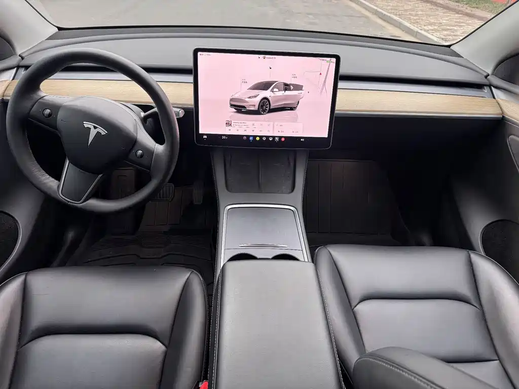 Tesla Model Y — фотографии объявления, Фото 10