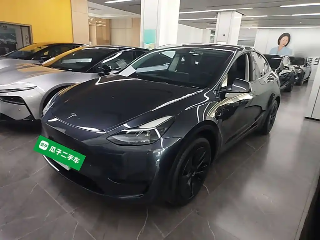 Tesla Model Y — миниатюра 2