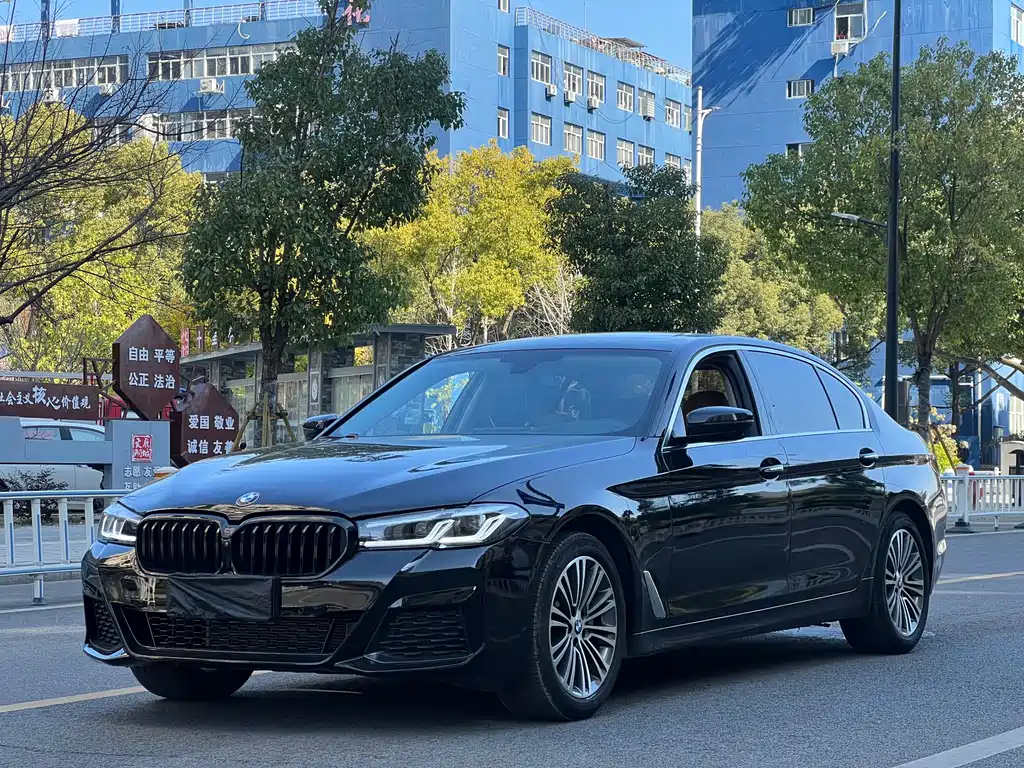 BMW 5 SERIES