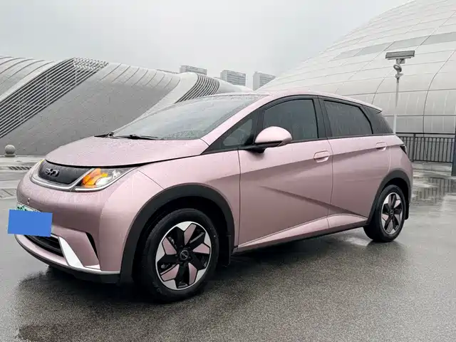 2025 BYD Dolphin