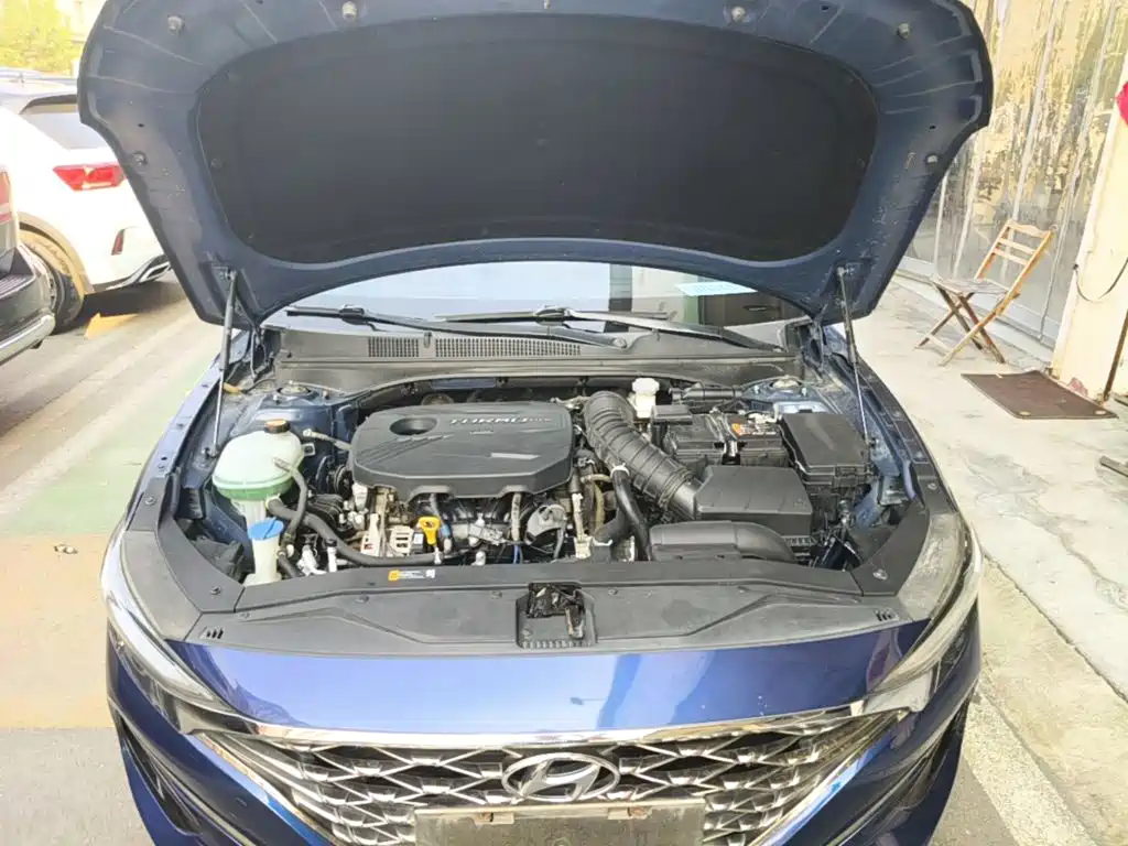 Hyundai Fista — миниатюра 20