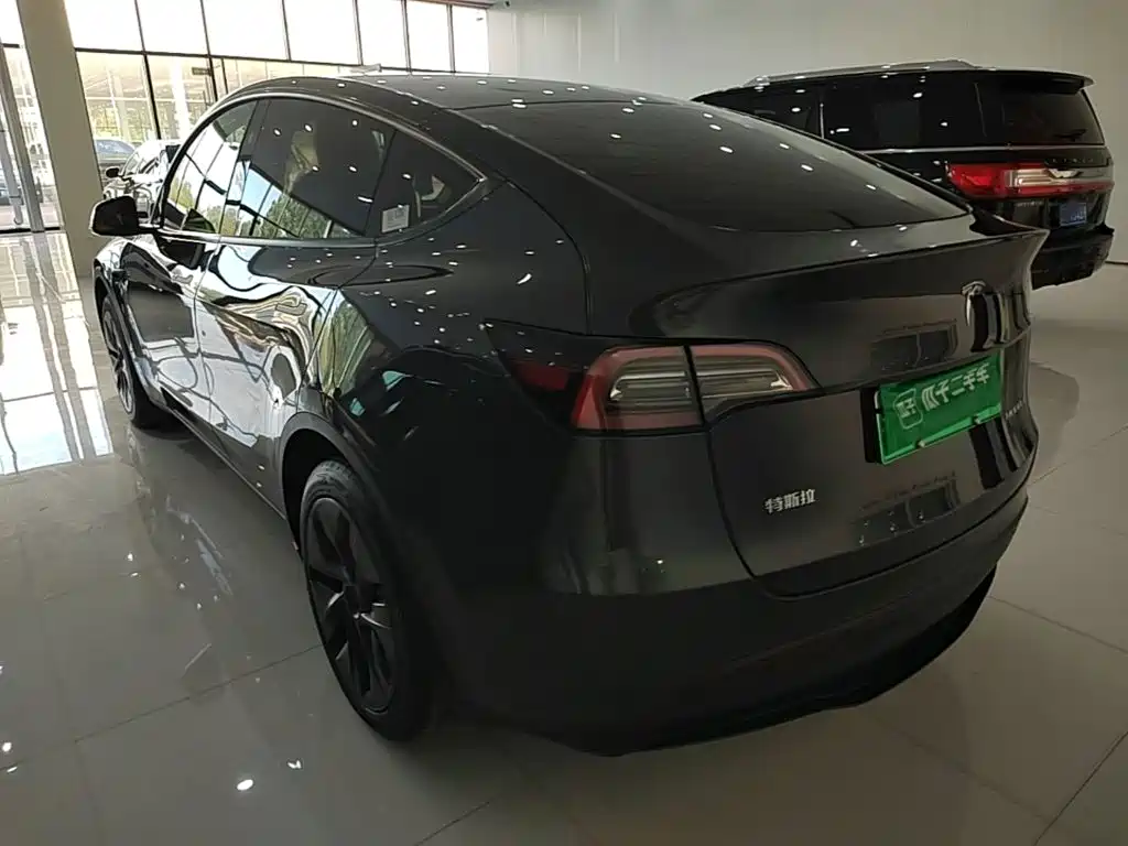 Tesla Model Y — миниатюра 5