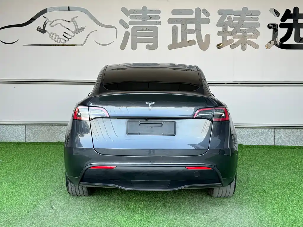 Tesla Model Y — миниатюра 14