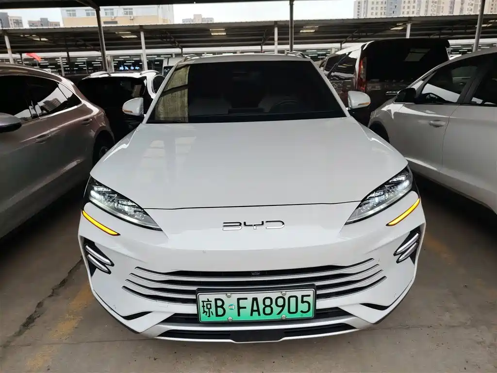BYD SONGJIANG NEW ENERGY
