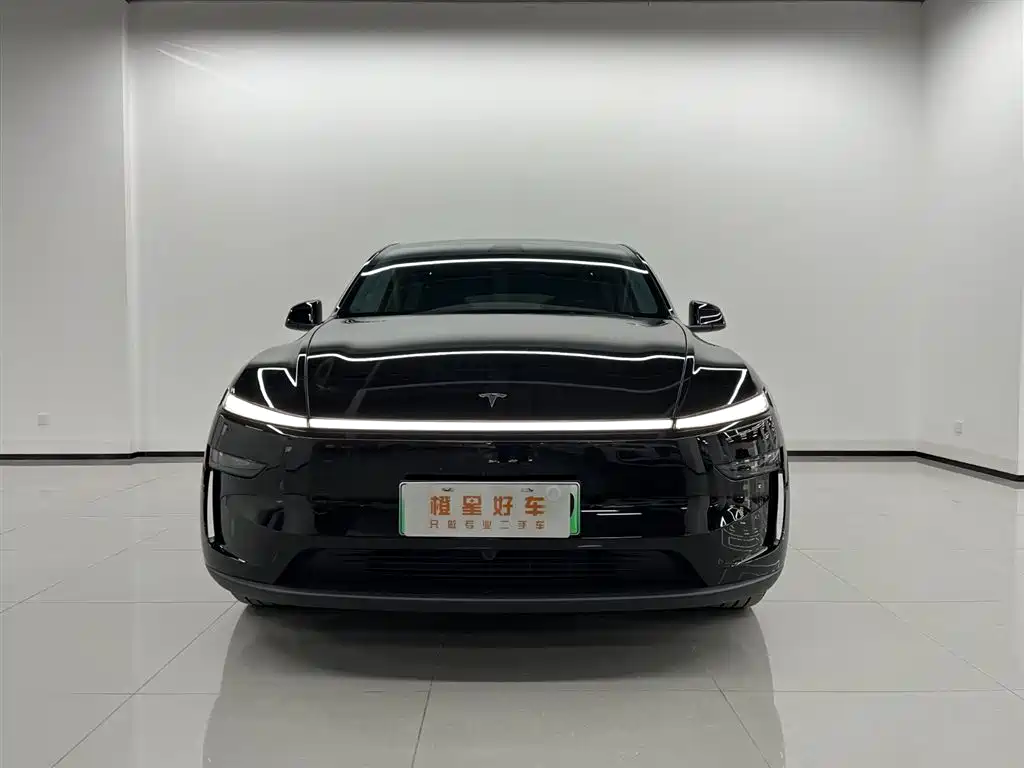Tesla Model Y — миниатюра 2