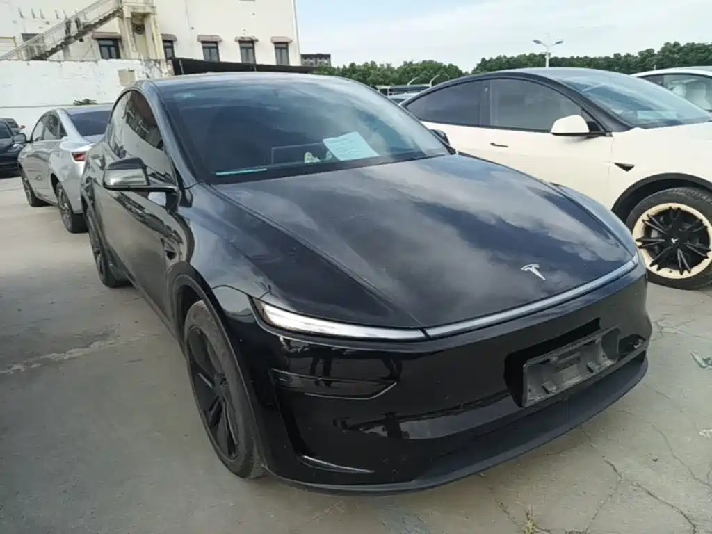 Tesla Model Y — миниатюра 4