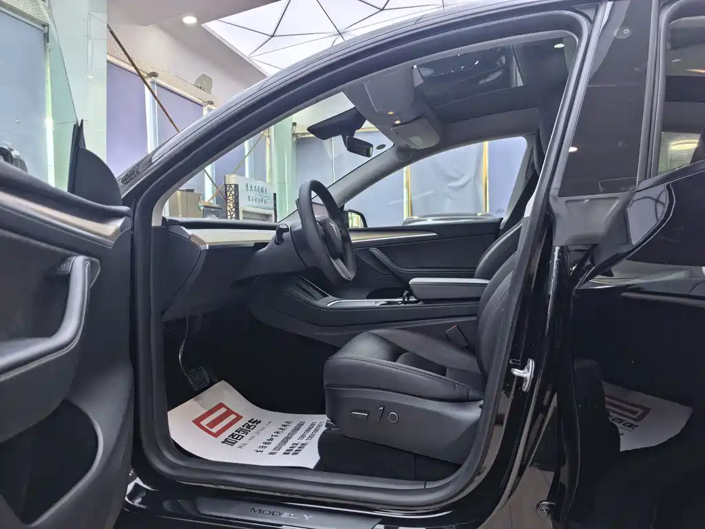Tesla Model Y — миниатюра 10