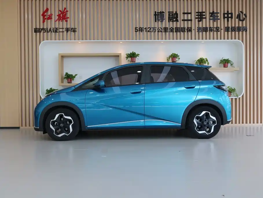 BYD Dolphin — миниатюра 2