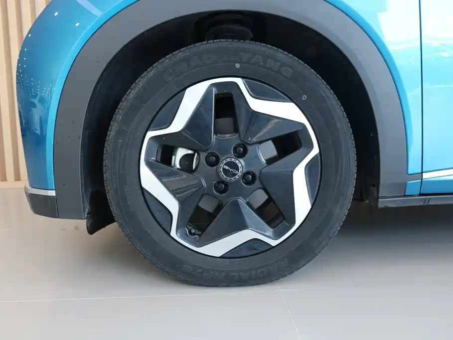 BYD Dolphin — миниатюра 15
