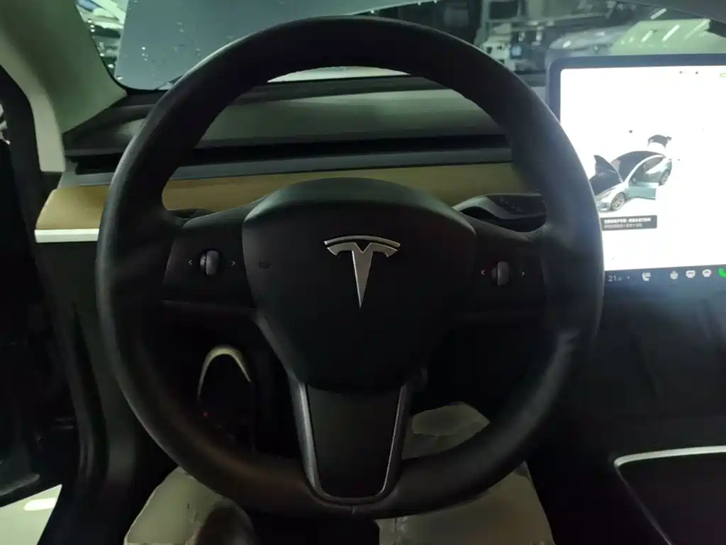 Tesla Model 3 — миниатюра 11