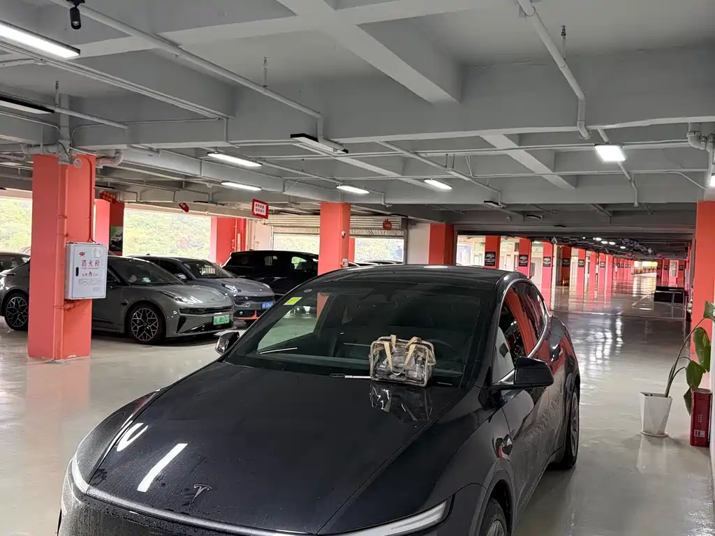 Tesla Model Y L