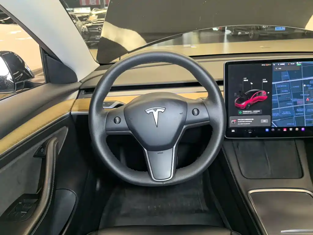 Tesla Model 3 — миниатюра 11
