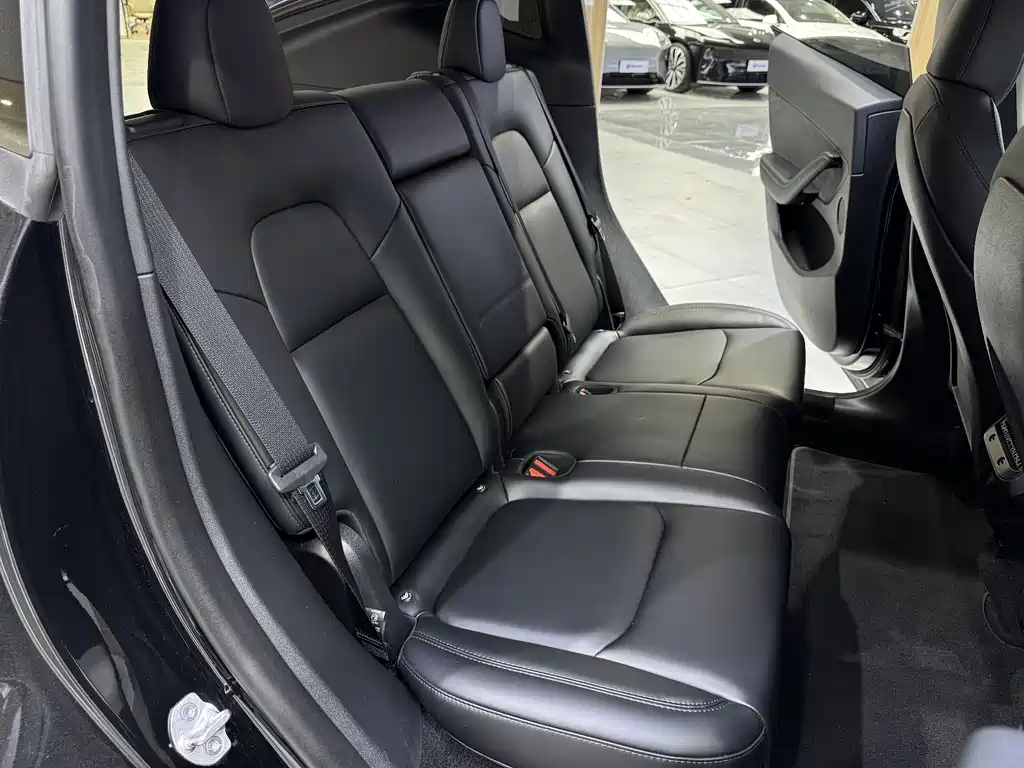 Tesla Model Y — миниатюра 22