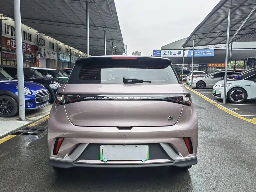 BYD Dolphin — миниатюра 26