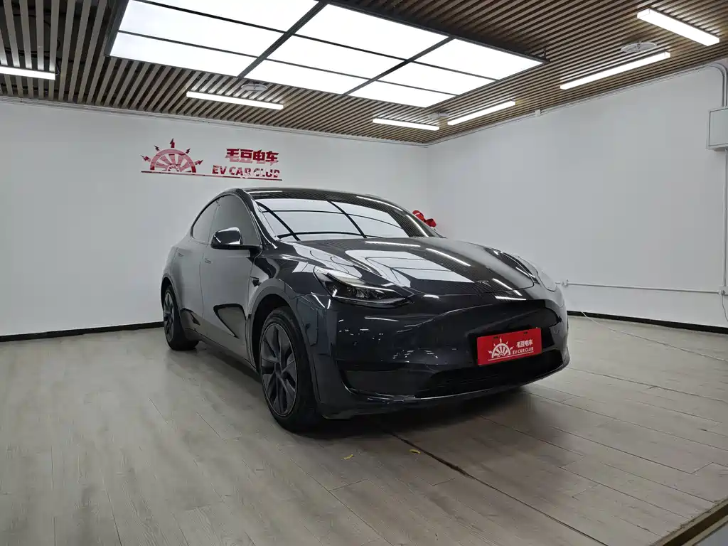 Tesla Model Y — миниатюра 2
