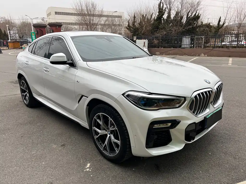 BMW X6 2021 xDrive40i M Sport