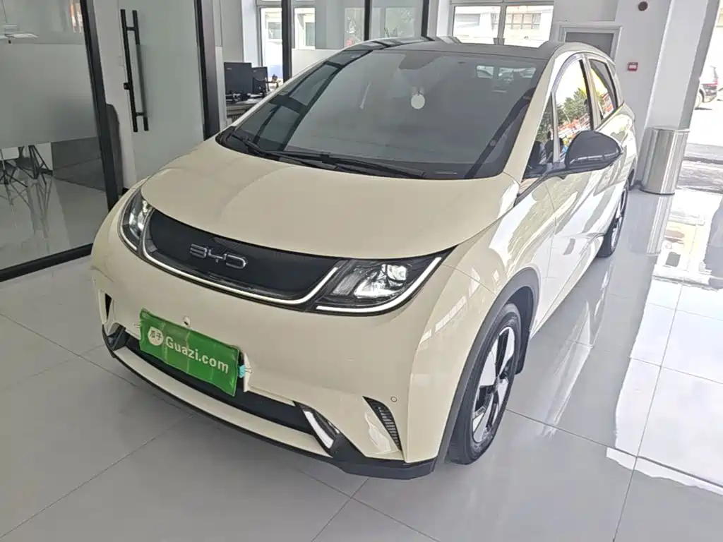 BYD Dolphin — миниатюра 2