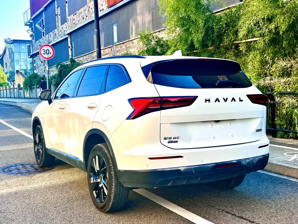 Haval H6 — миниатюра 7