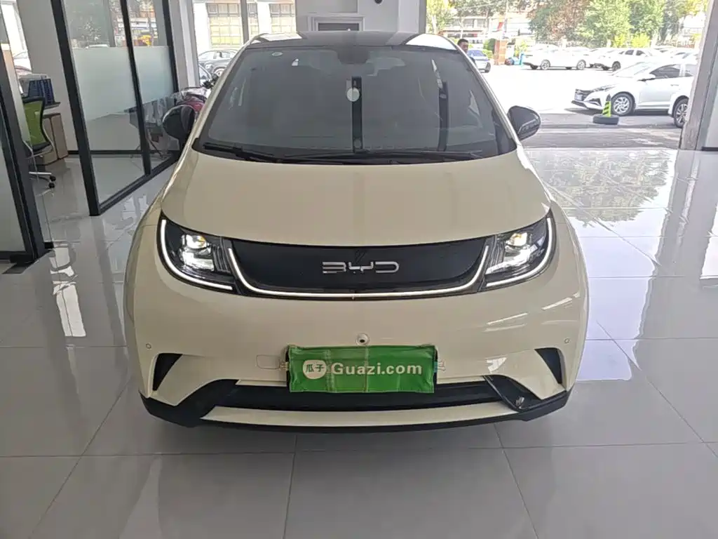 BYD Dolphin — миниатюра 3