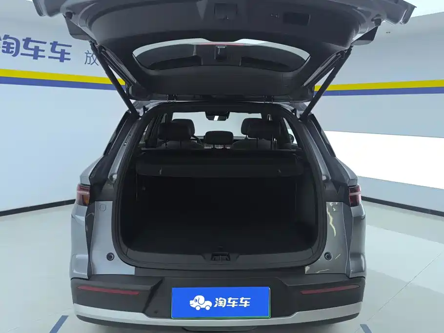 BYD Pro New Energy — миниатюра 4