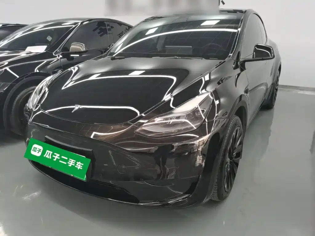 Tesla Model Y — миниатюра 2