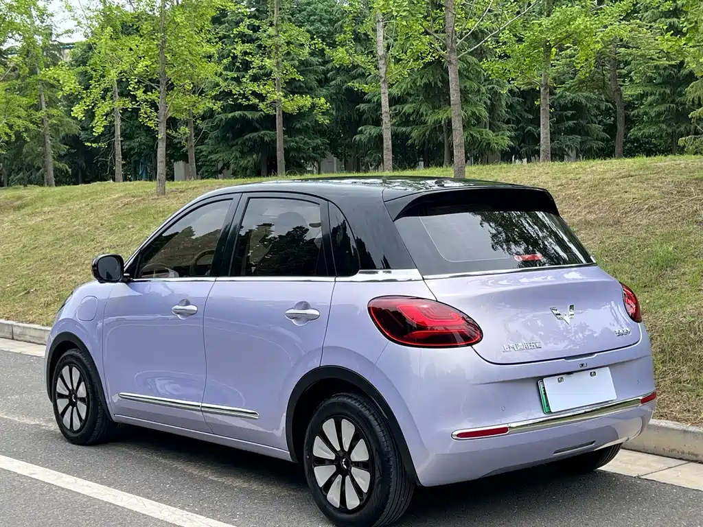 Wuling Binguo 2025 410km Premium