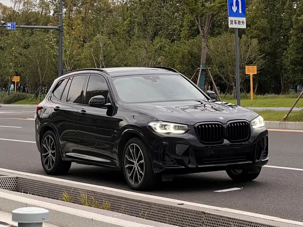 BMW X3 — миниатюра 2