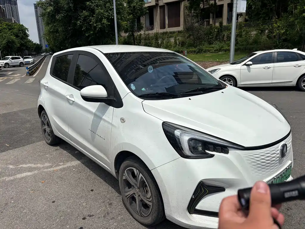 Changan Benben E-Star — миниатюра 3