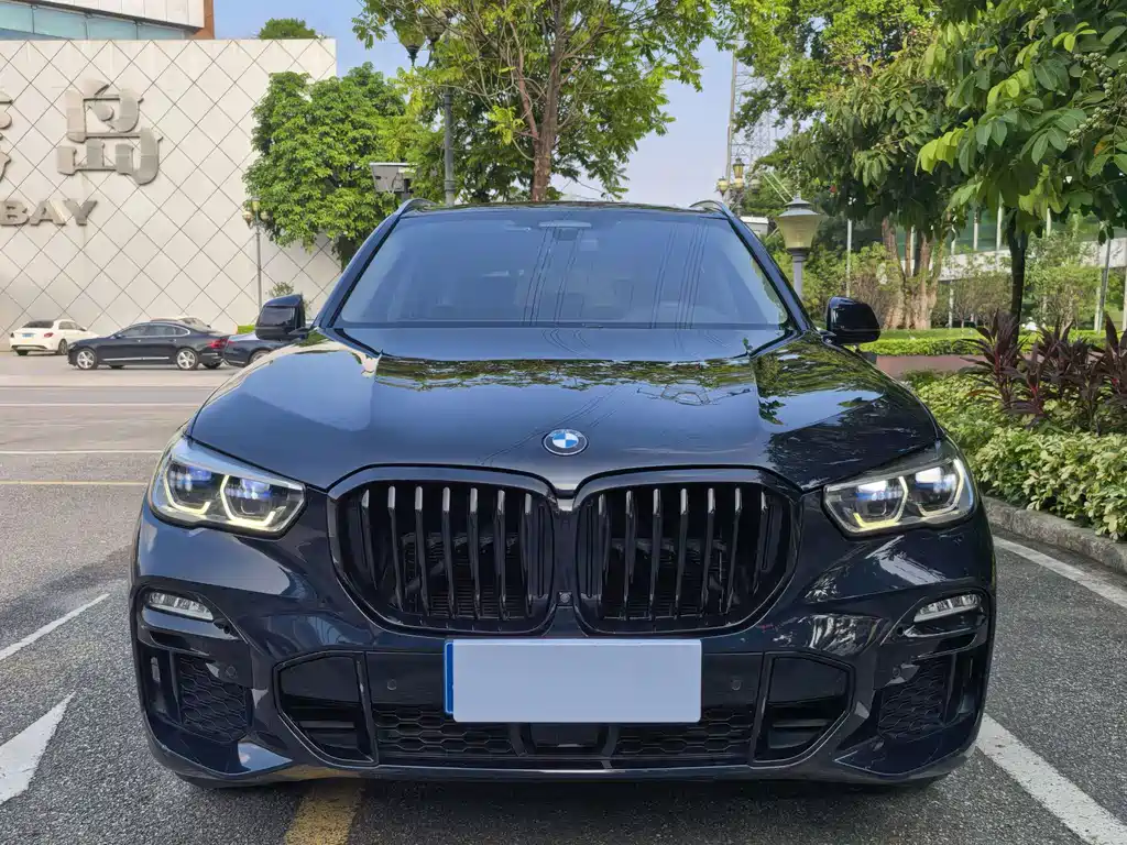 BMW X5 (Import) — миниатюра 2