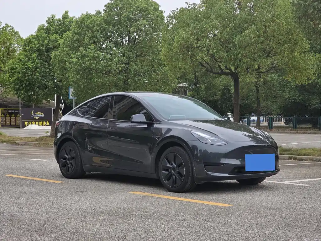 Tesla Model Y — миниатюра 3