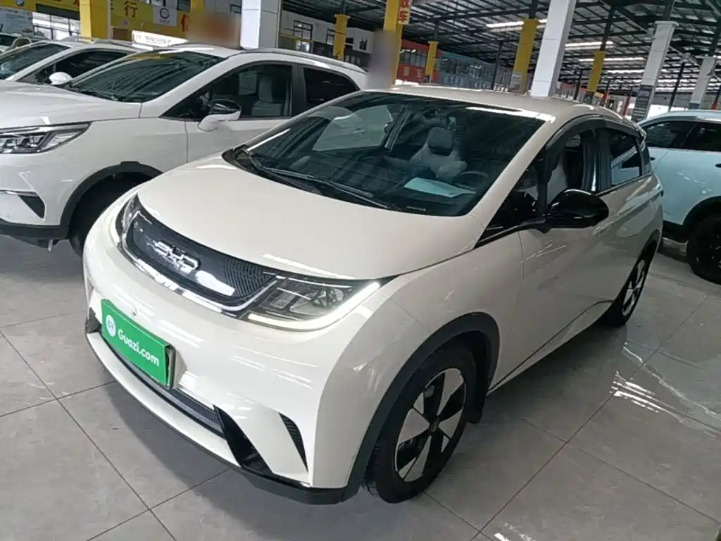 BYD Dolphin — миниатюра 2