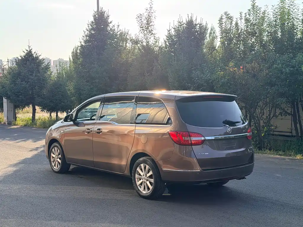 Buick GL8 — миниатюра 7