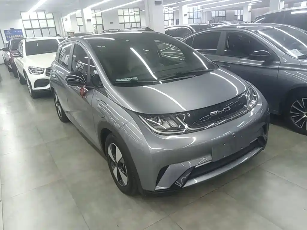 BYD Dolphin — миниатюра 4