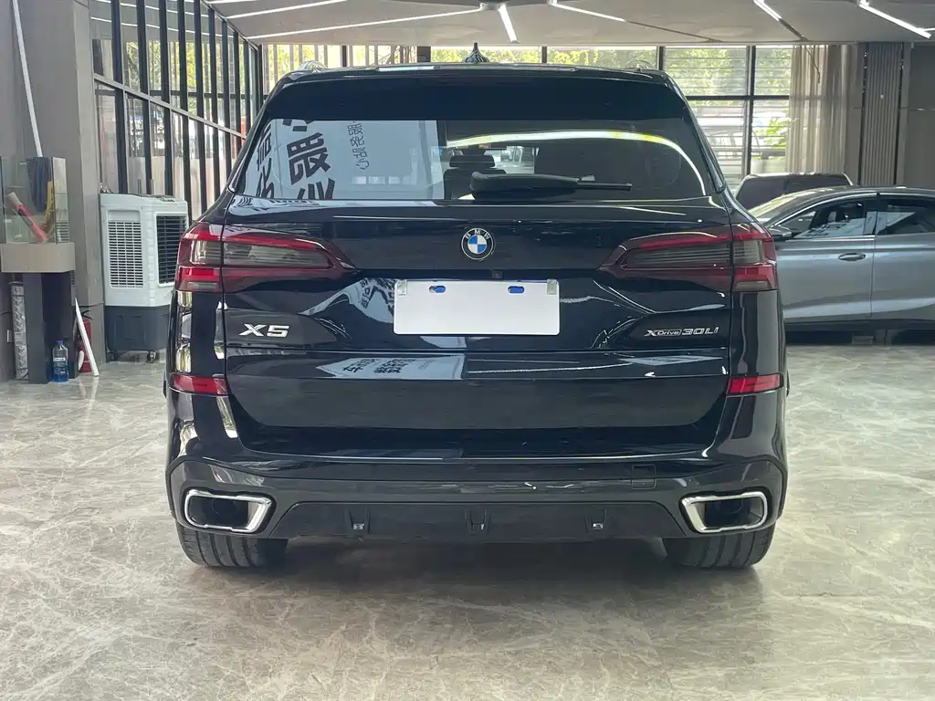 BMW X5 — миниатюра 5