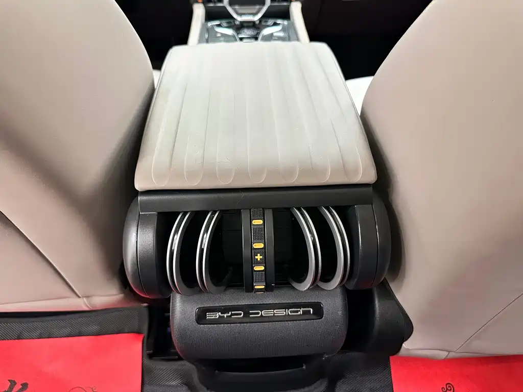 BYD Yuan Plus — миниатюра 18