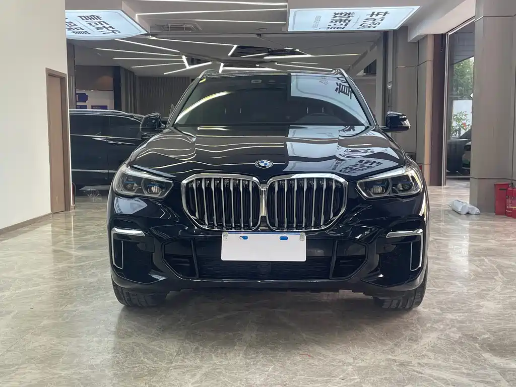 BMW X5 — миниатюра 2