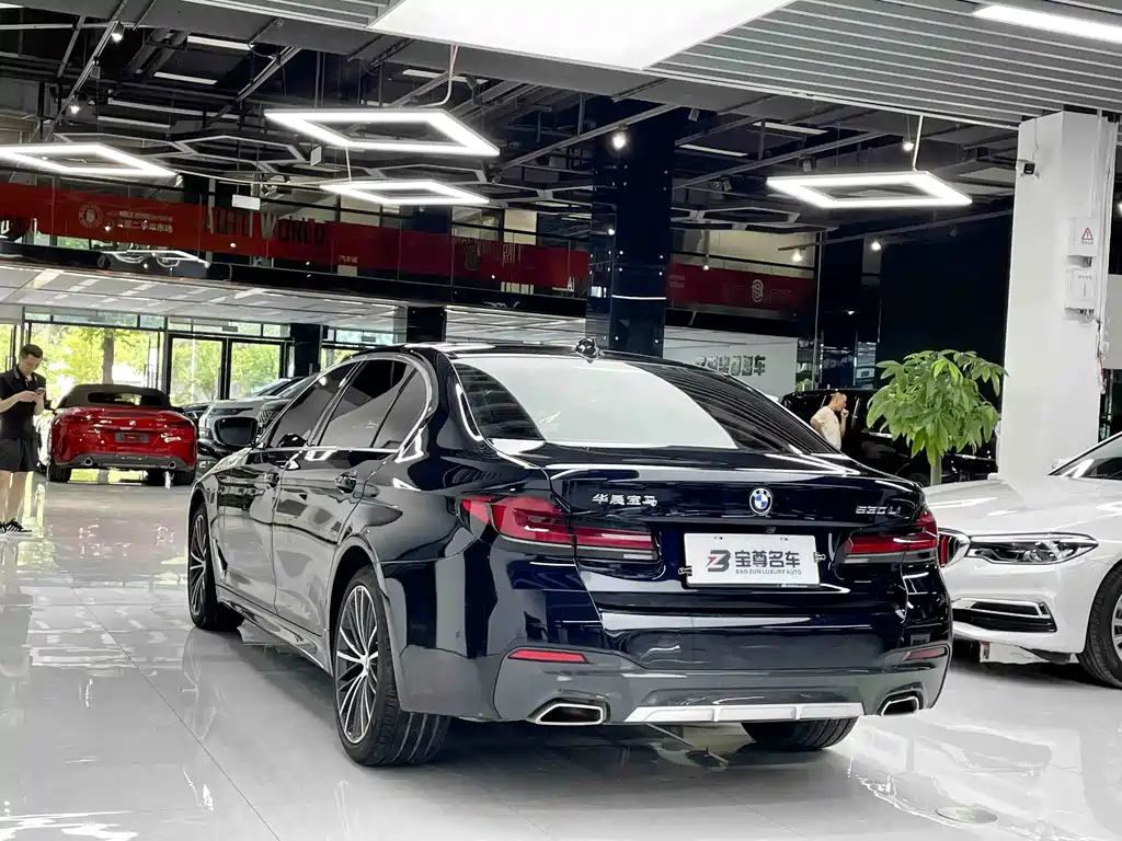 BMW 5 Series — миниатюра 10