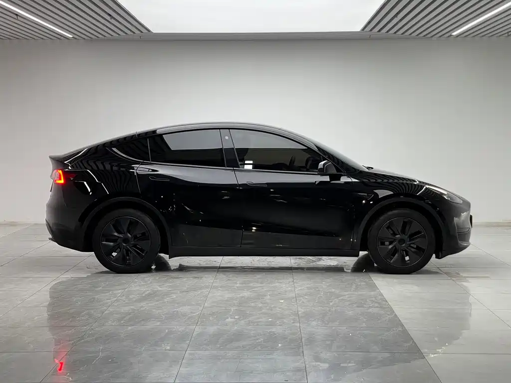 Tesla Model Y — миниатюра 8