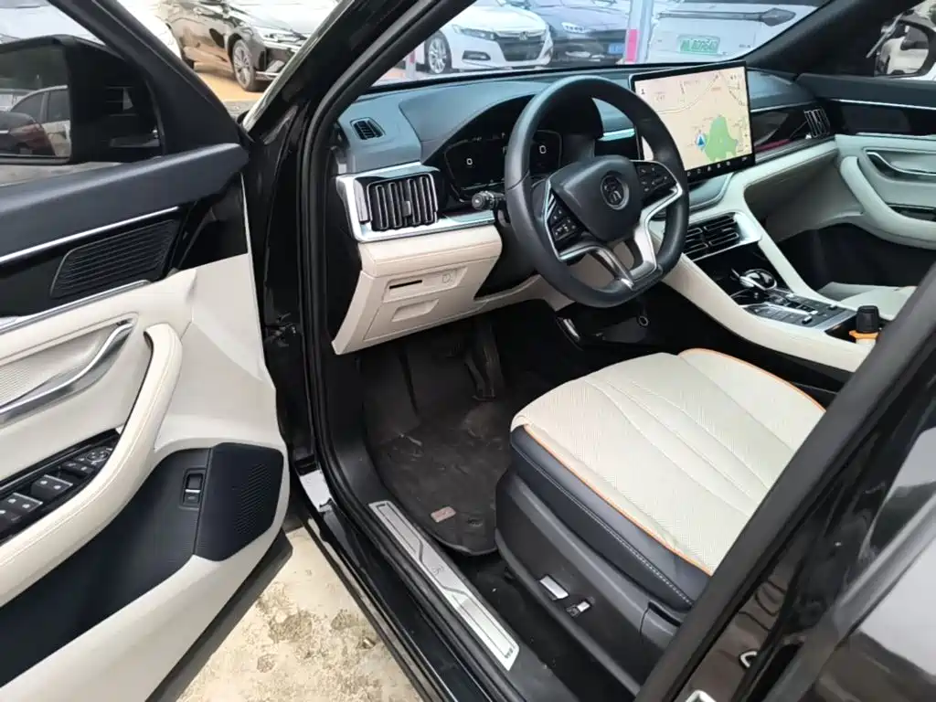 BYD PLUS New Energy — миниатюра 16