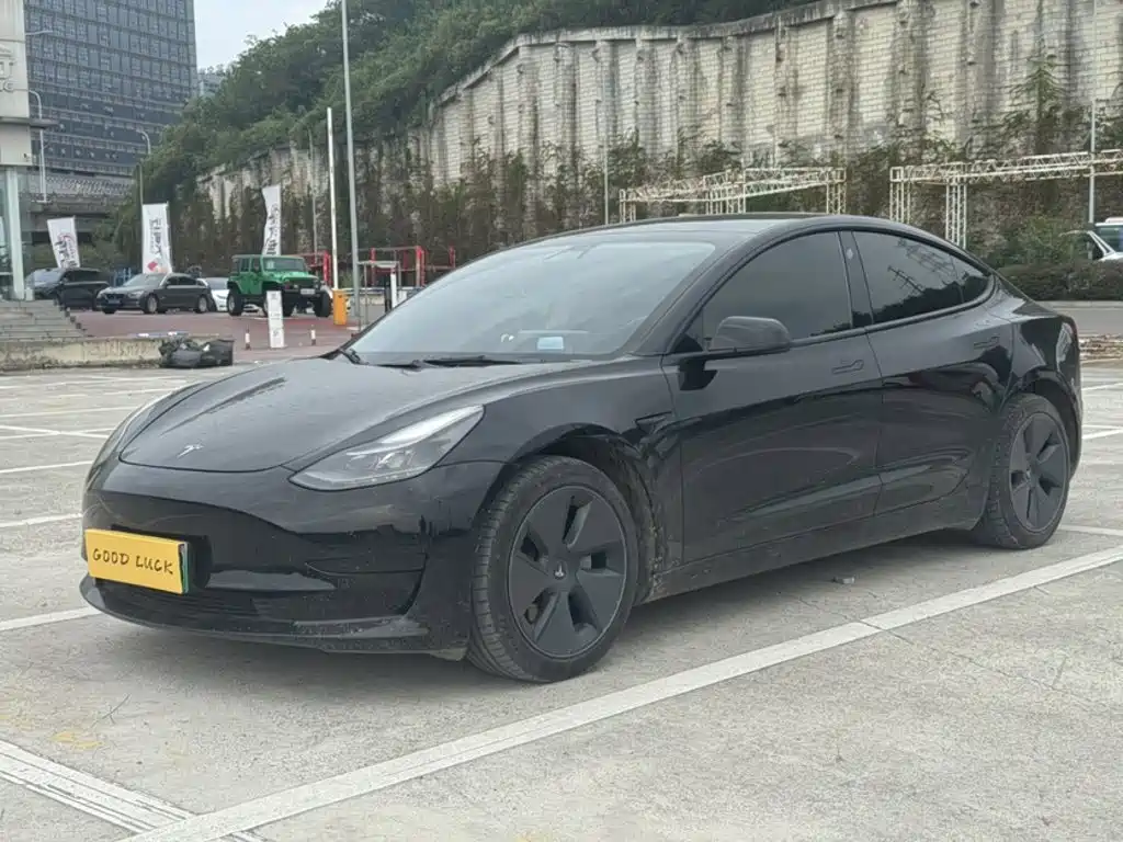 Tesla Model 3 — миниатюра 2