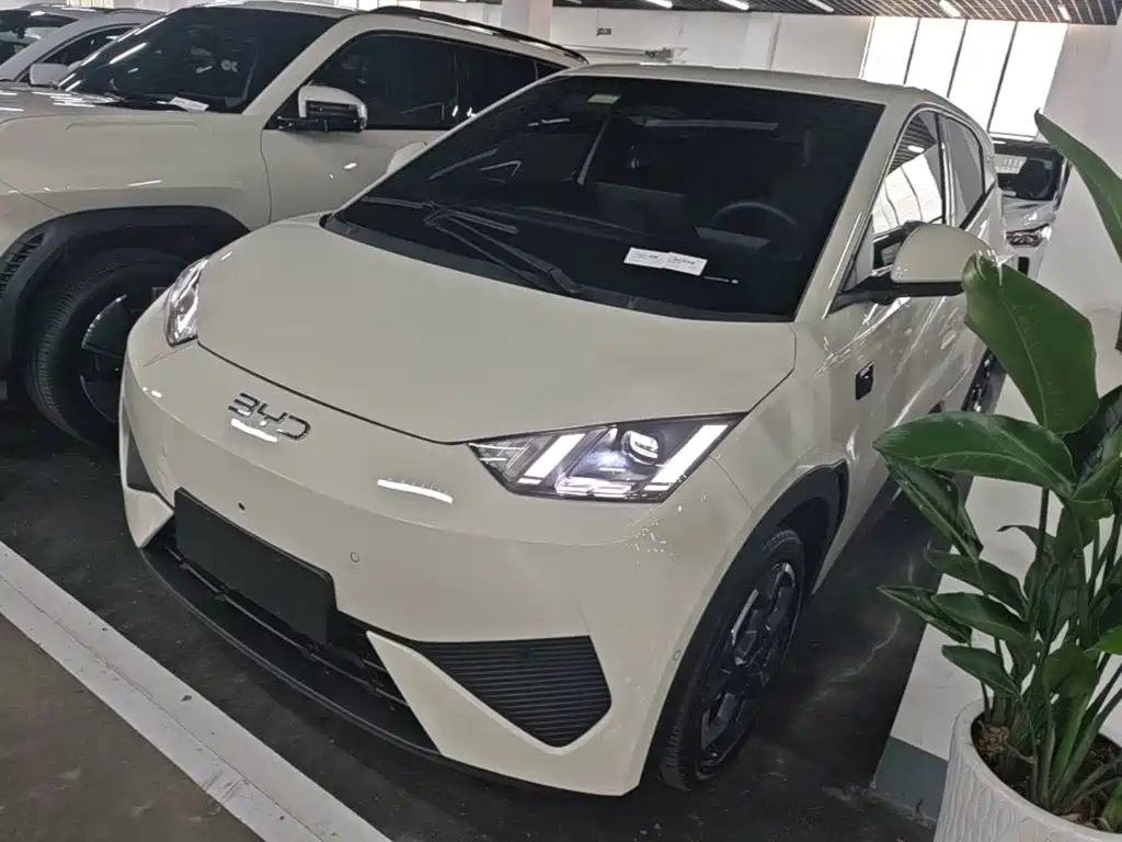 BYD Seagull 2025 Smart Drive 305km Freedom