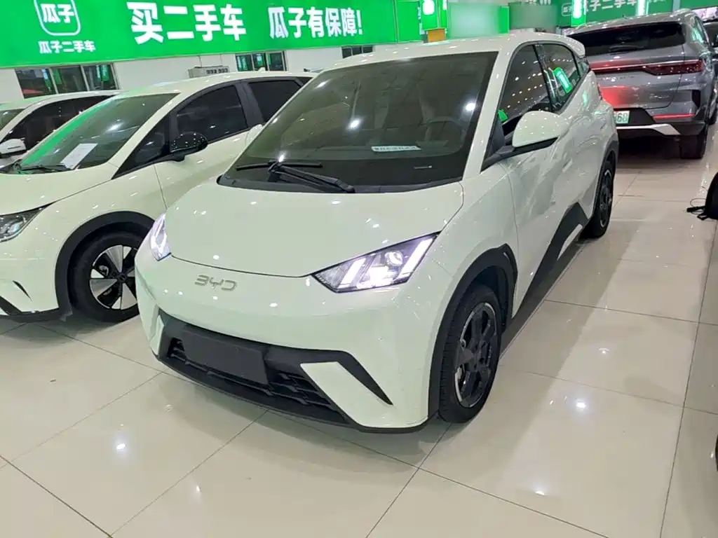 BYD Seagull