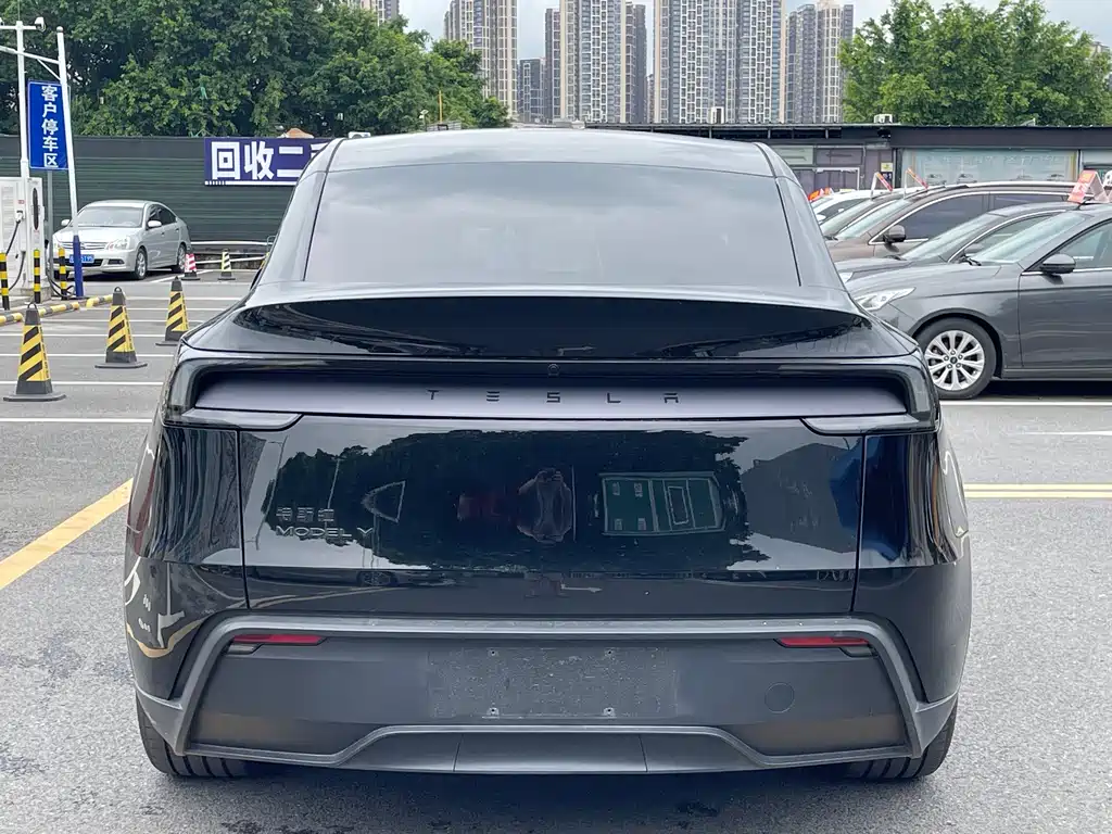 Tesla Model Y — миниатюра 13