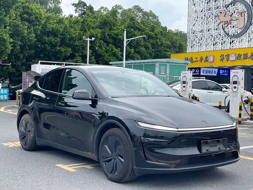 Tesla Model Y — миниатюра 3