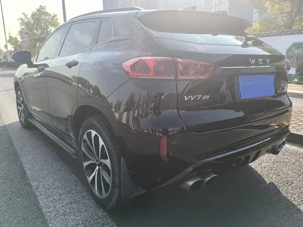 WEI PAI WEI BRAND VV7