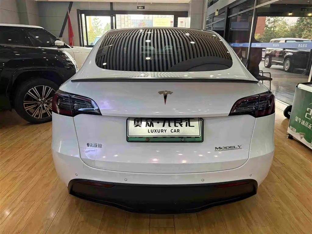 Tesla Model Y — миниатюра 13