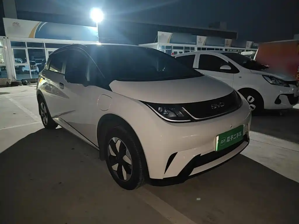 BYD Dolphin — миниатюра 4