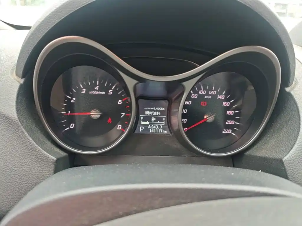 Haima Haima S5 — миниатюра 12